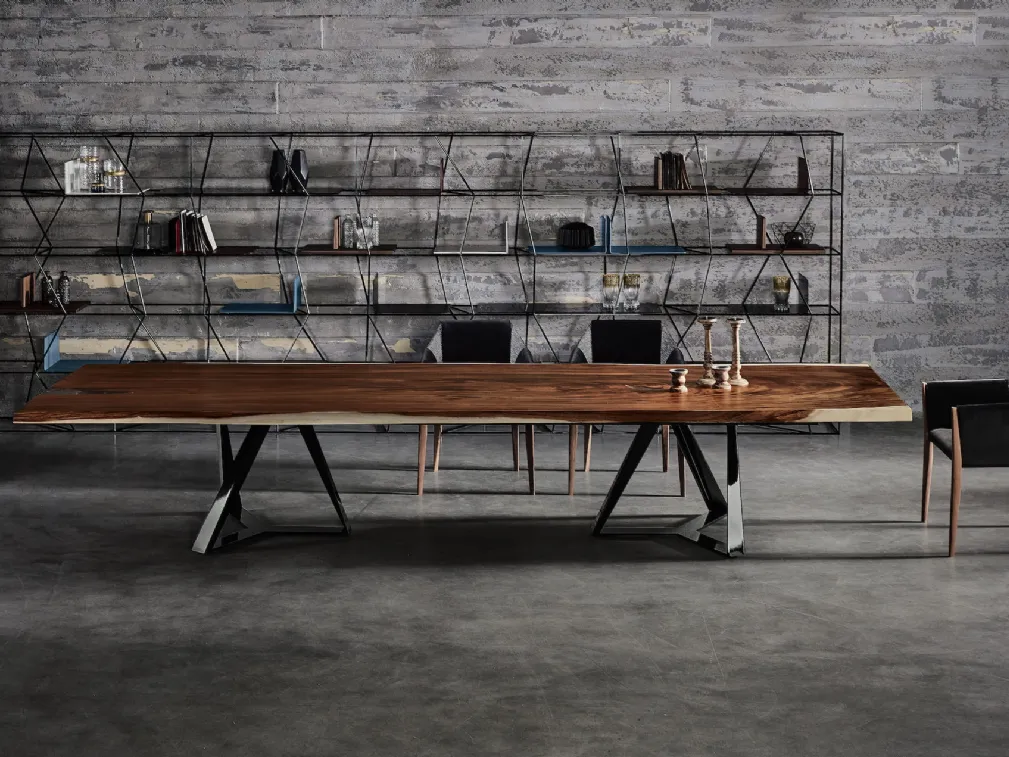 Libreria Lexington di Bontempi